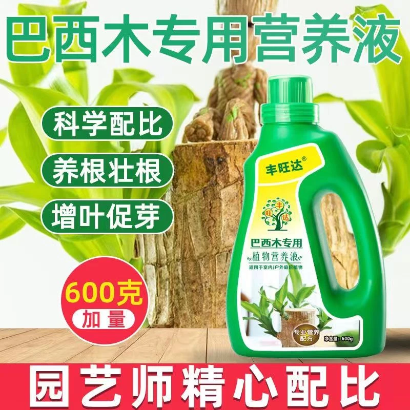 巴西木专用植物营养液盆栽通用幸运木水培水养配方肥绿植微量元素