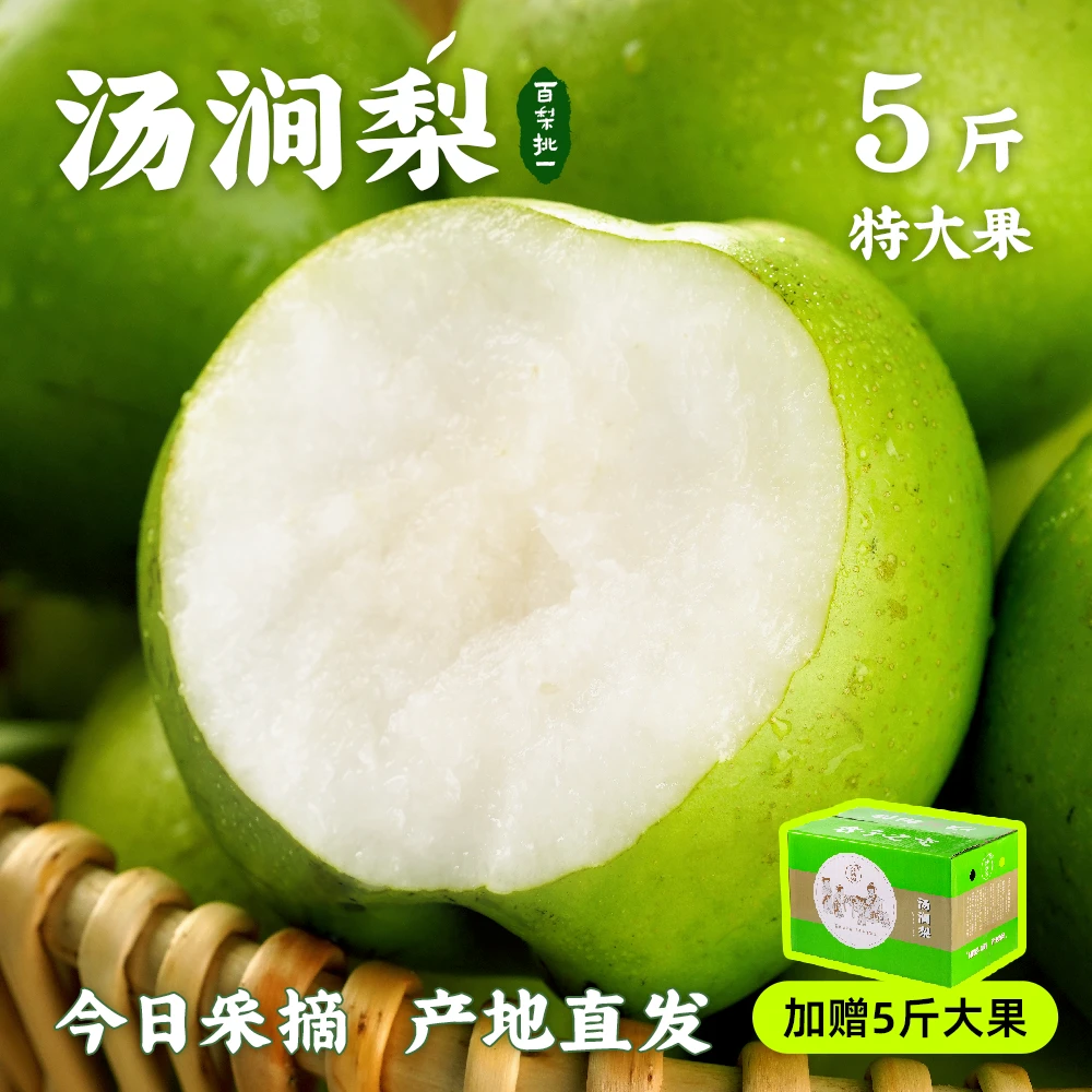 【汤涧梨分享装】拍9斤送5斤现摘现发汤涧梨精品梨园整箱包邮