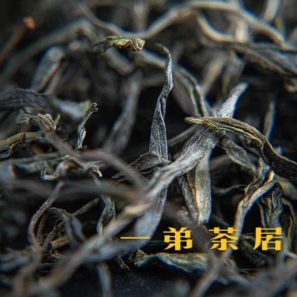 【哆依树小高杆】2025年春晒青毛茶