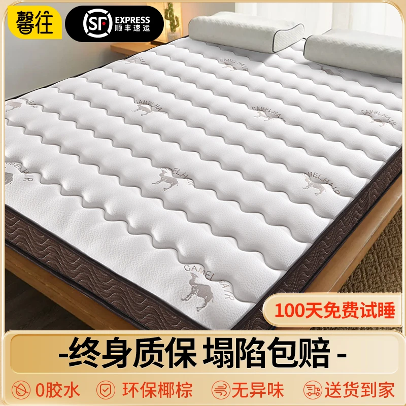 3E椰棕学生乳胶儿童学生硬垫宿舍单人加厚家用卧室床垫折叠床垫子