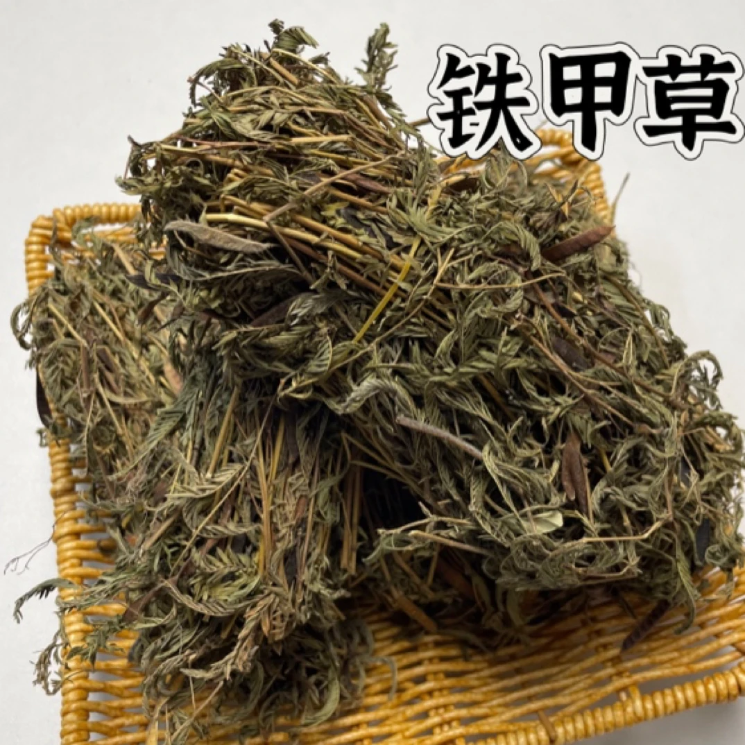 野生深山精选铁甲草