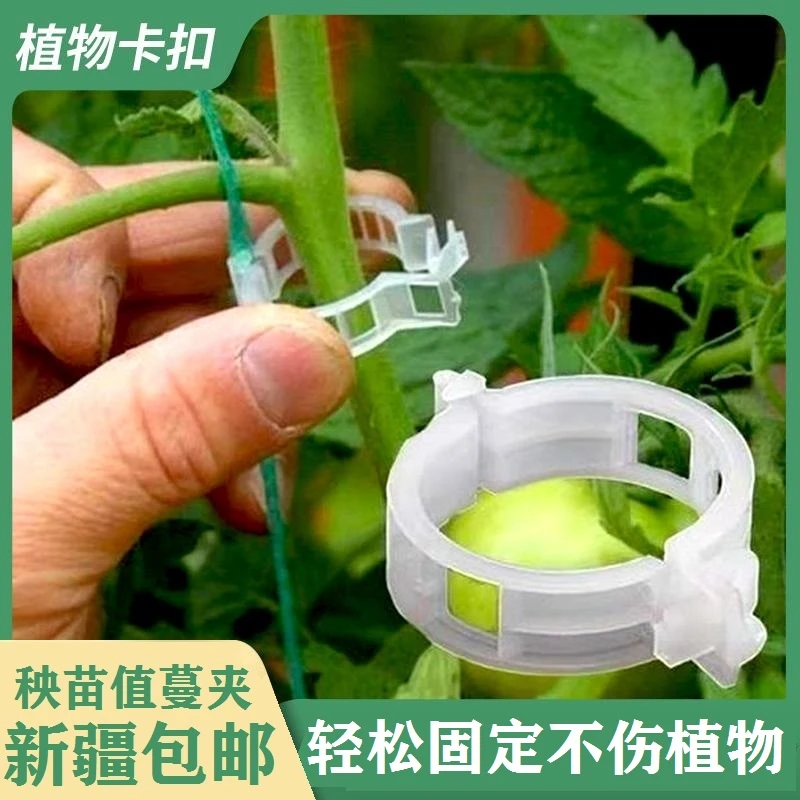 【新疆包邮100个装】园艺植物固定夹绑蔓夹吊蔓器绿植花卉秧苗夹