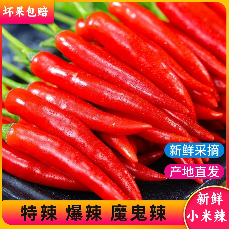 z新鲜小米辣椒云南产地直发新鲜采摘云南小米辣朝天椒1-9斤
