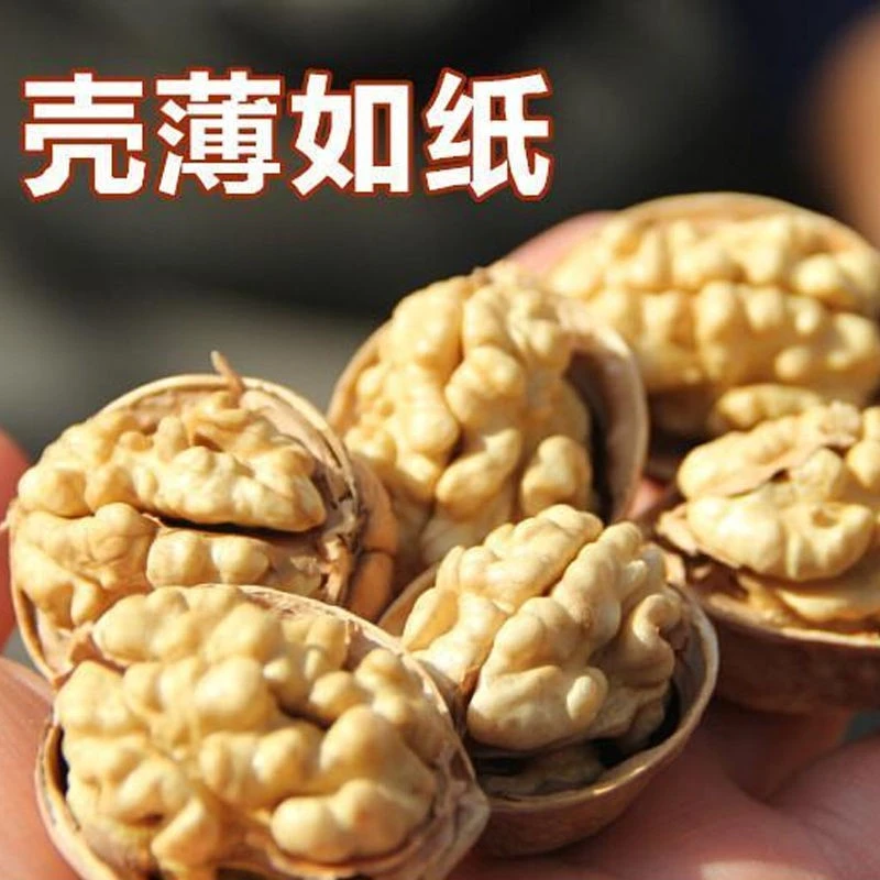 2023年新疆特产阿克苏185纸皮核桃薄皮新货1斤/2斤脆香品质开口