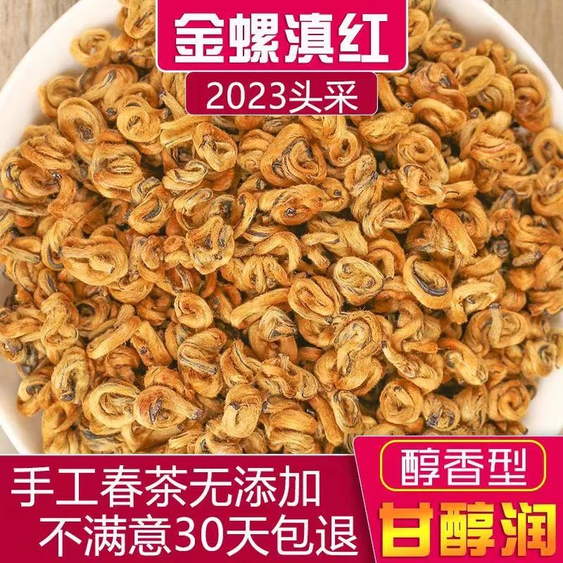 【滇红黄金螺】2023云南凤庆滇红金螺蜜香型全黄芽品质罐装送礼礼盒