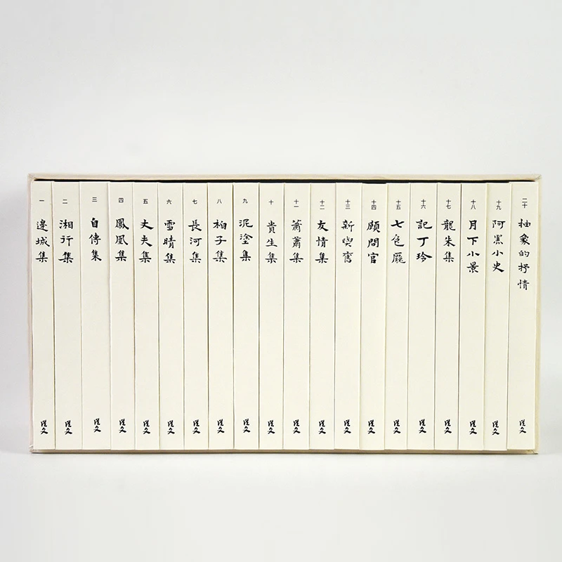 【微瑕不退换】钤印无盒 沈从文别集 光边 全20册