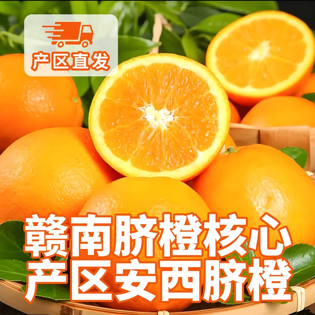 赣南脐橙核心产区安西脐橙 果园现摘现发