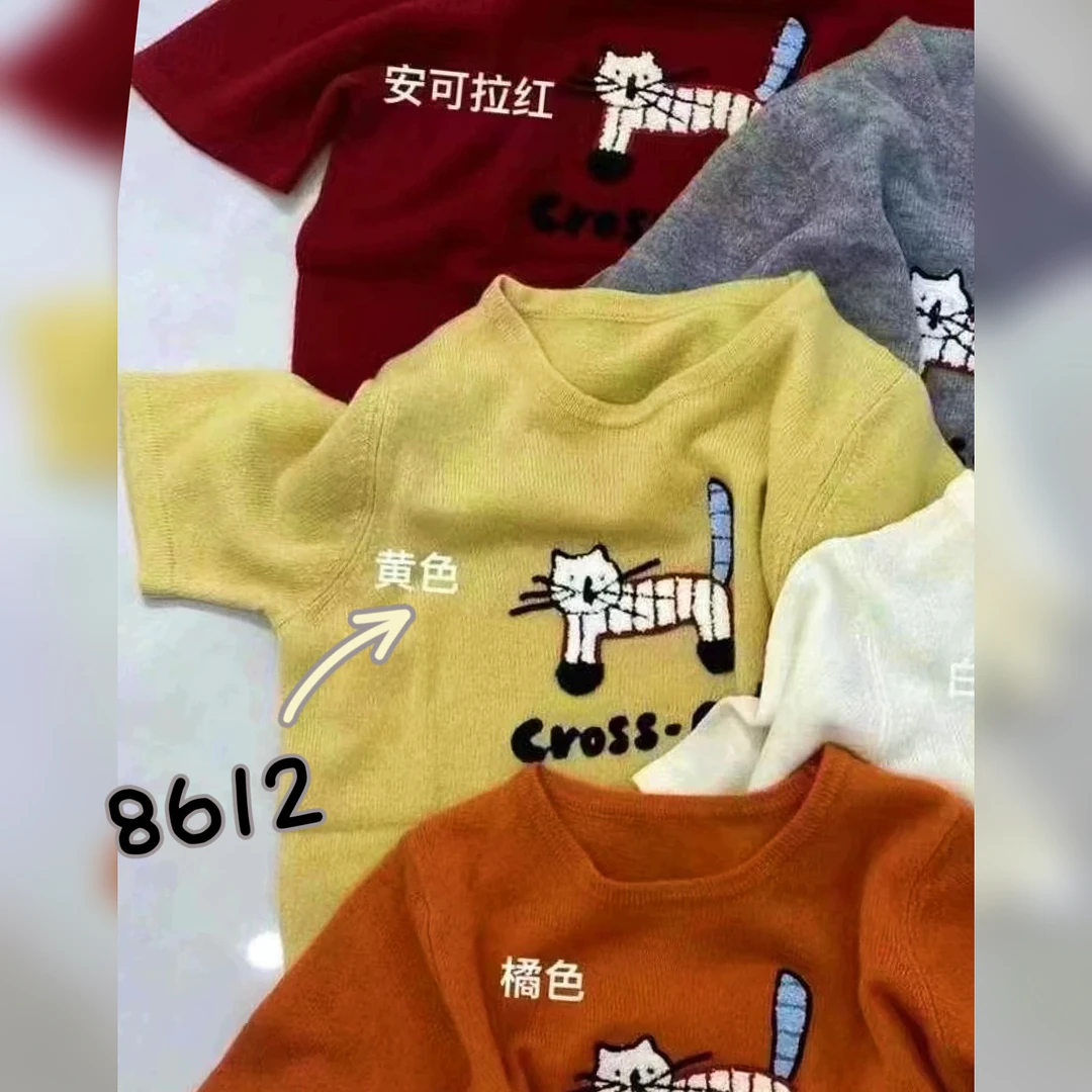 8612（部分无水洗唛，介意慎拍）SANFAN新款针织衫