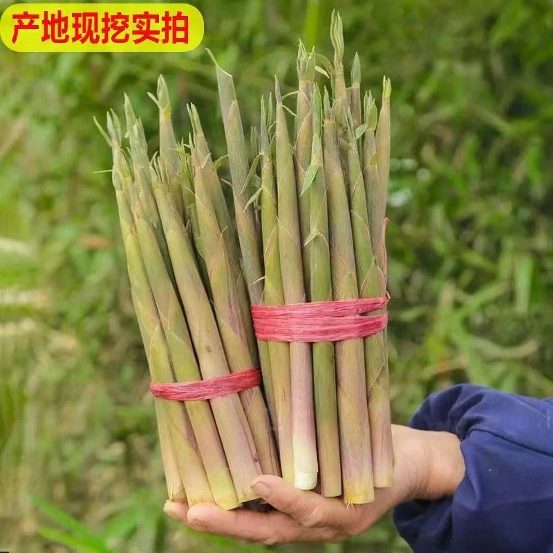 野生小竹笋八月笋去壳真空独立包装