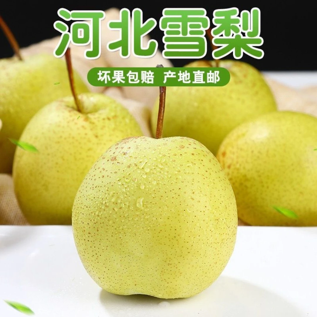 《雪梨煮水熬汤》冰糖雪梨河北赵县雪花梨产地直发5/9新鲜梨子水果