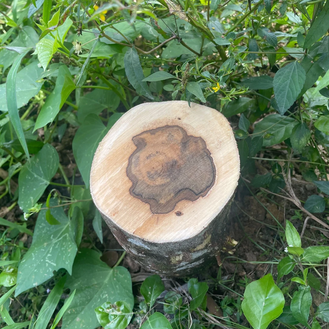 原木摆件家居摆件