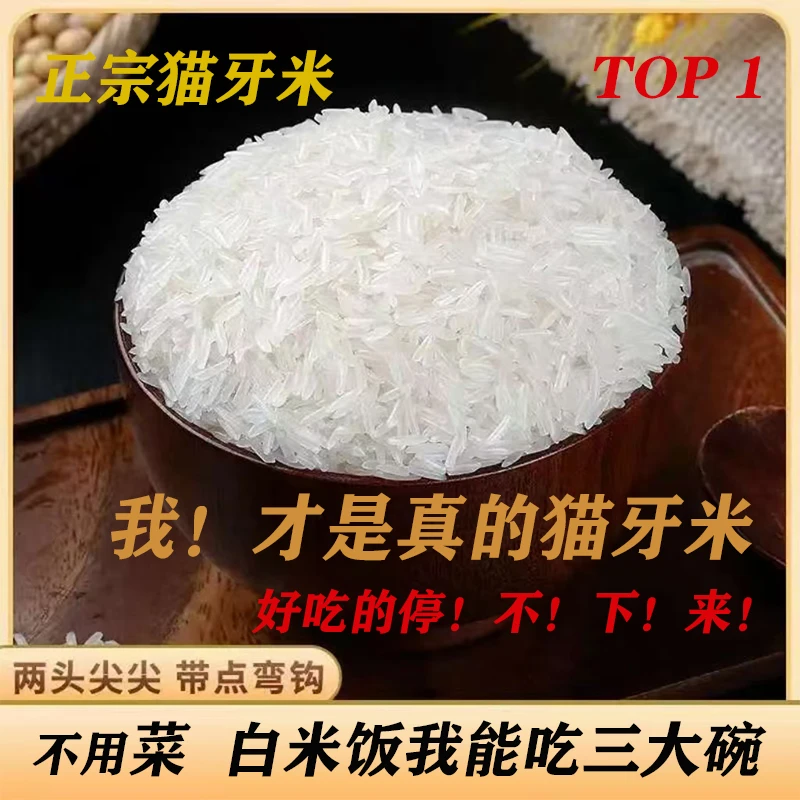 正宗长粒香米现磨现发丝苗米不抛光不打蜡丝苗米