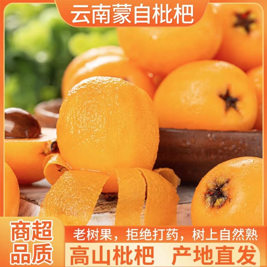 【顺丰包邮】云南蒙自采摘枇杷新鲜多汁水果当季新鲜头茬送礼