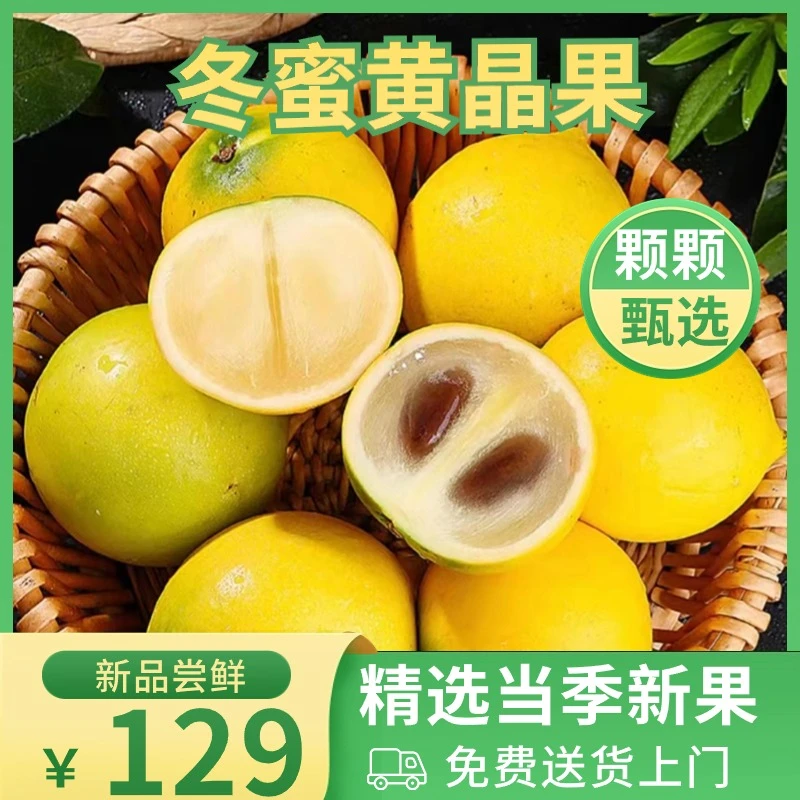 云南西双版纳黄金牛奶果新鲜冬蜜黄晶果大果送礼顺丰空运3斤起