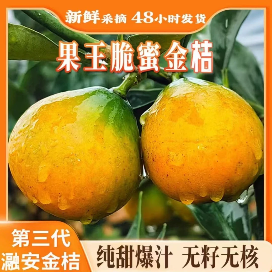 新上市融安金桔正宗广西脆蜜金桔滑皮金桔脆蜜金柑新鲜顺丰包邮