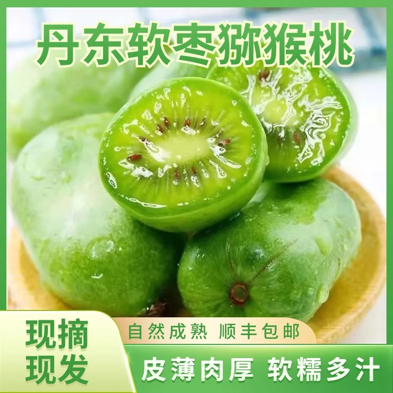 【顺丰包邮】丹东软枣猕猴桃迷你奇异果新鲜水果奇异莓圆枣子15-20g