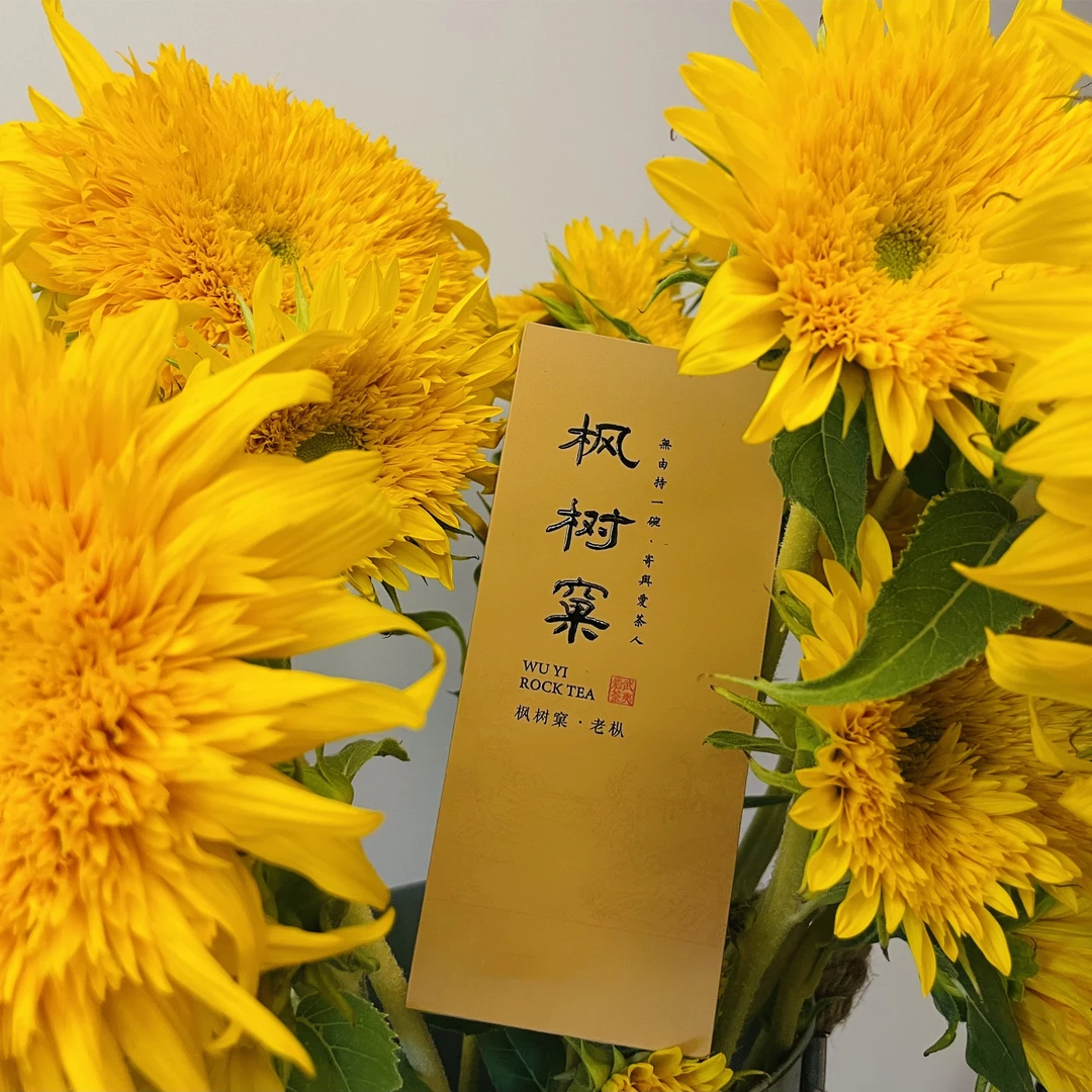 柒月严选岩茶-慧苑坑枫树窠，品鉴装，老枞水仙，枞味显，生津