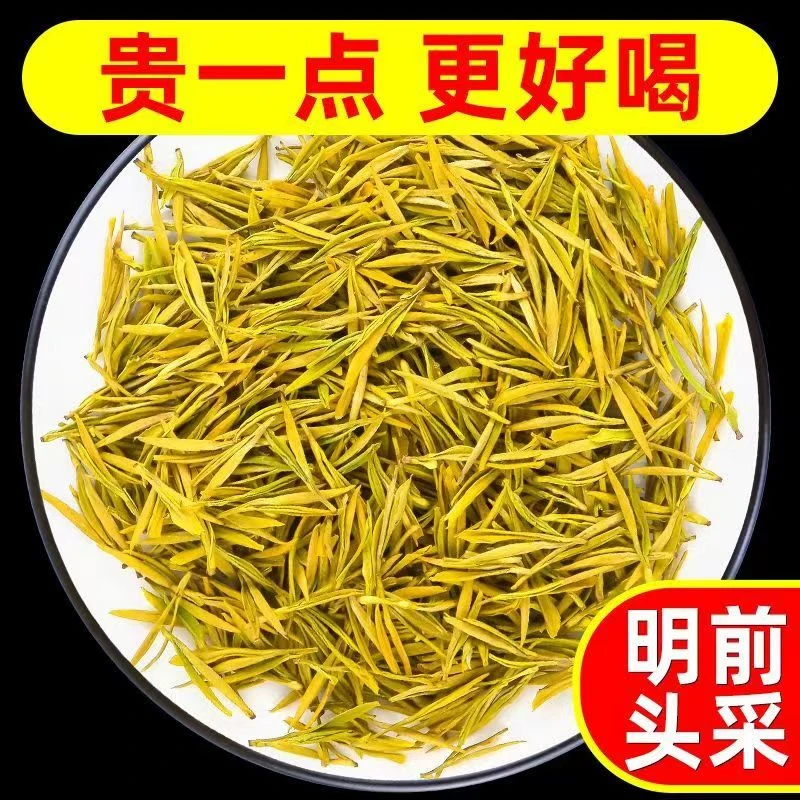 正宗黄金芽茶叶2025新茶明前头采嫩芽贵州浓香型高山云雾绿茶鲜爽