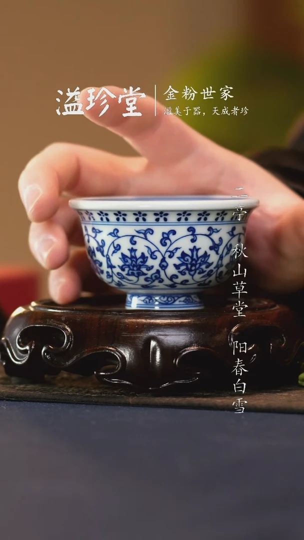 【闪购商品】TC@@YZ010097