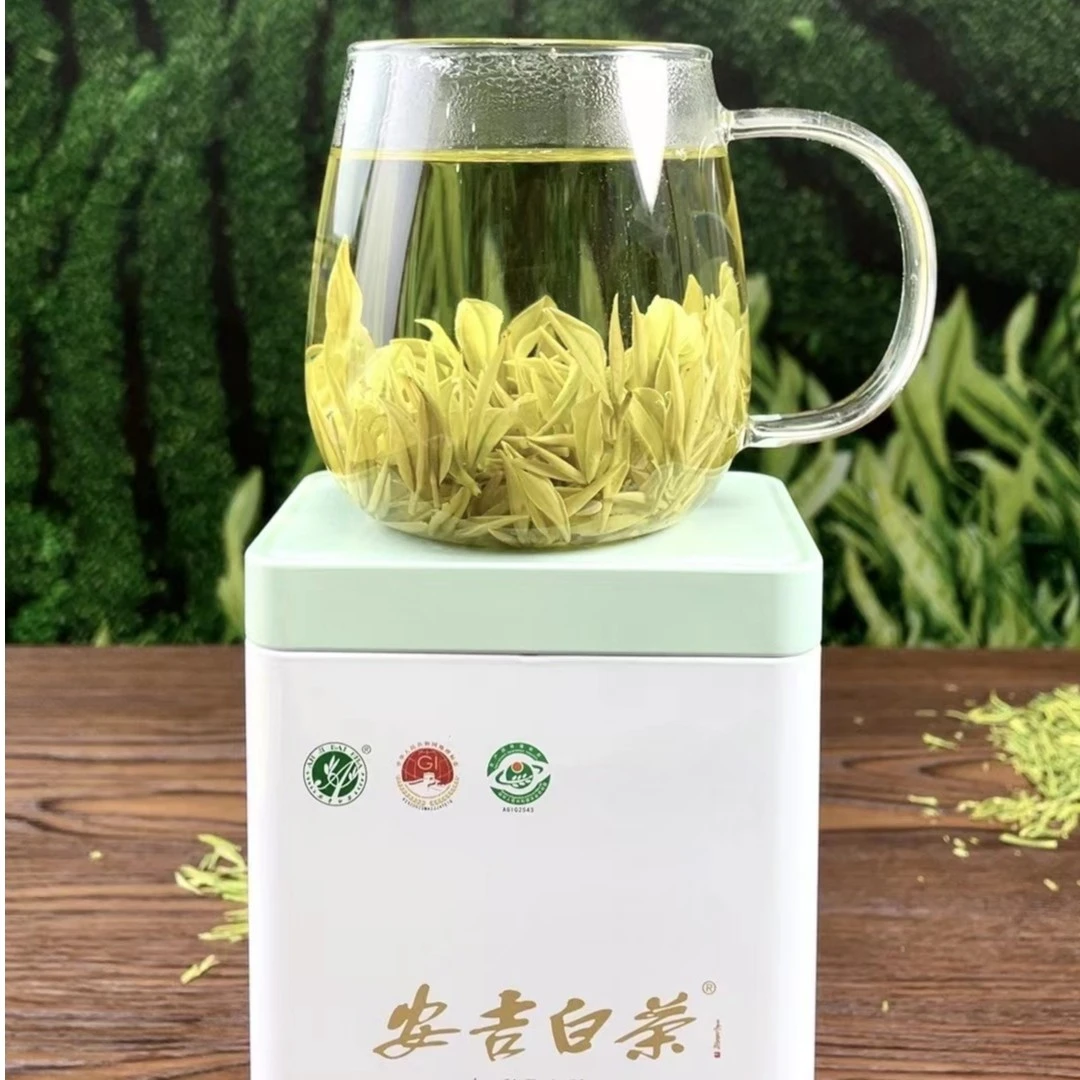 【2025新茶】安吉原产地高山 明前白茶，口感舒适，香味怡人！兰花香浓