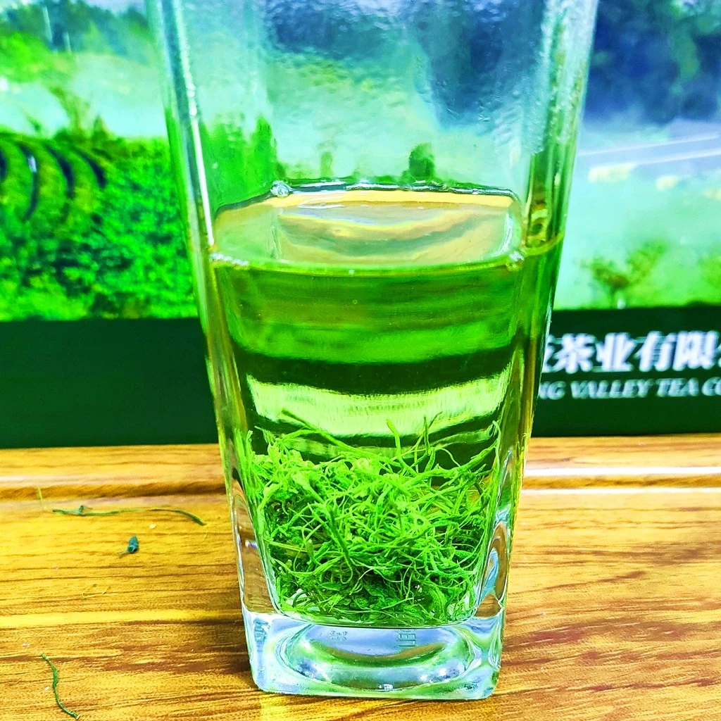 【龙须茶】2024湖北竹溪野生绞股蓝龙须茶