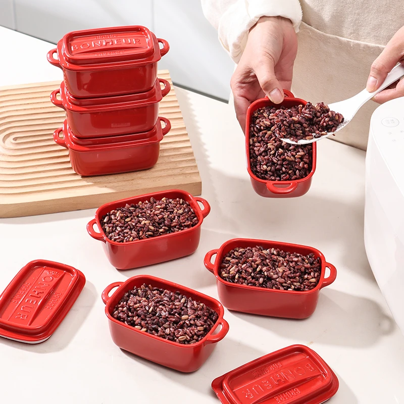 日式进口糙米饭分装盒减肥定量冷冻可微波复古杂粮小饭盒保鲜盒