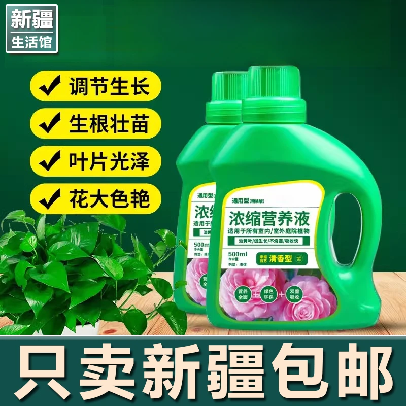 新疆生活馆营养液植物通用型花肥发财树富贵竹绿萝水培盆栽促进花
