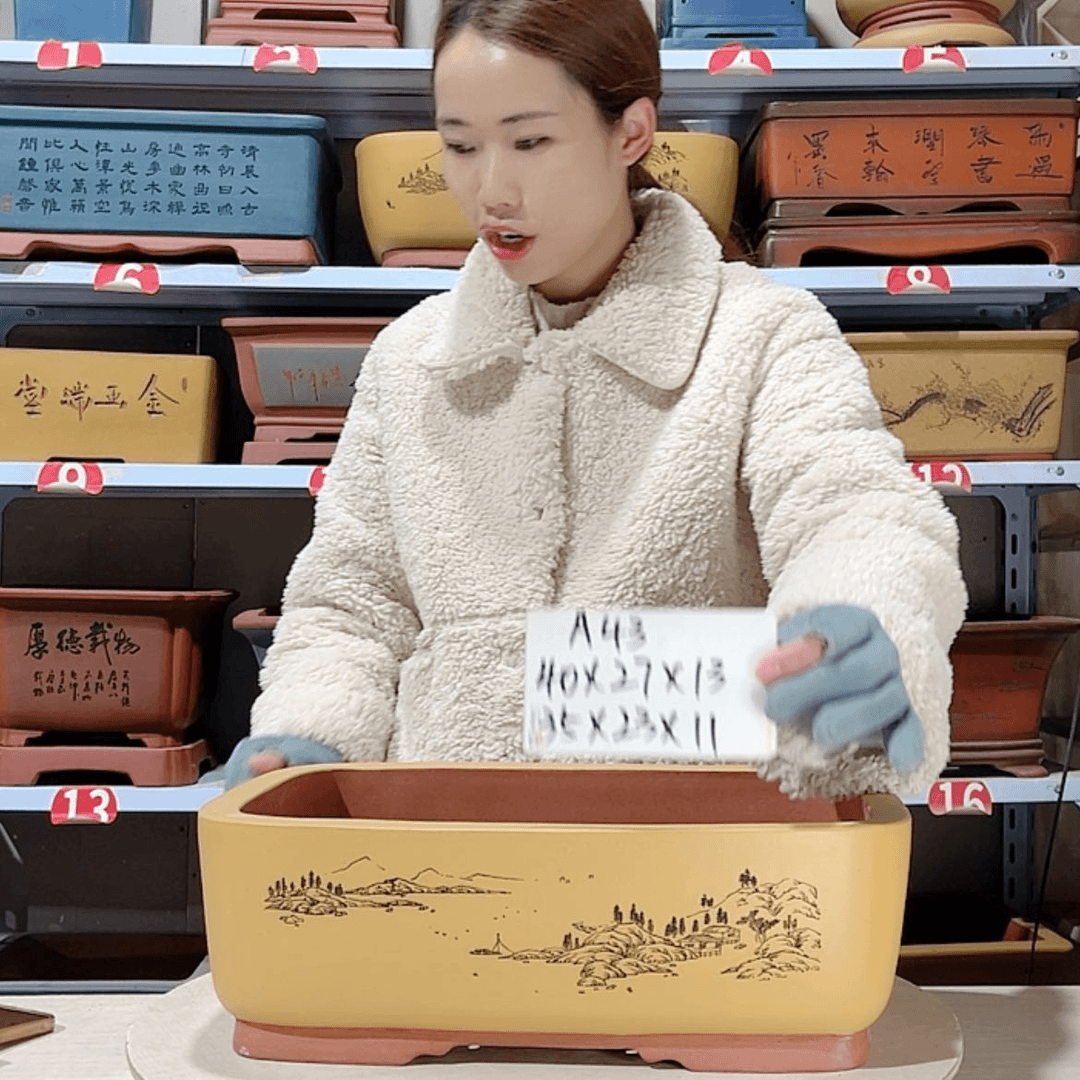 【闪购商品】紫砂花盆