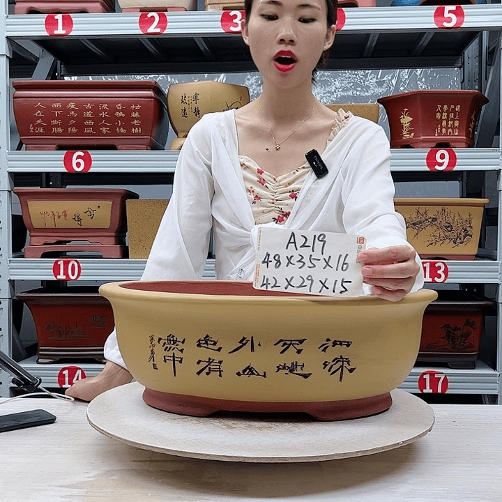 紫砂花盆紫砂花盆