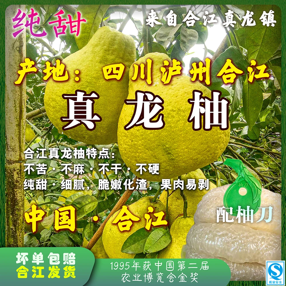【真龙柚】四川泸州合江发货新鲜水果纯甜柚子合江真龙柚【新品】
