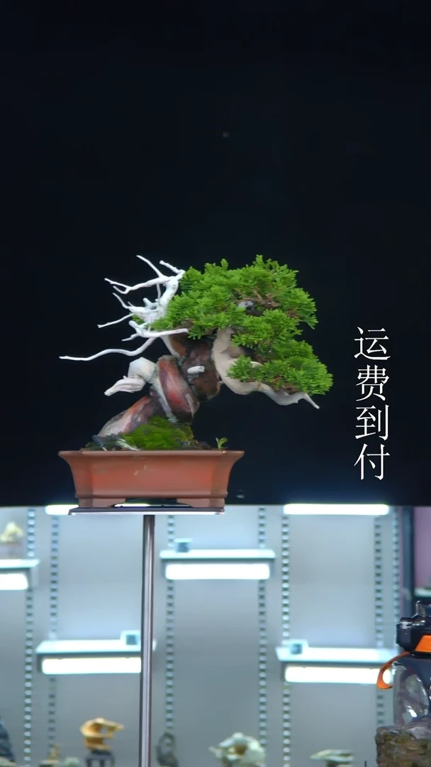 【闪购商品】系渔川10226