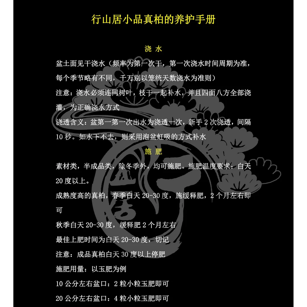 直播链接2行山居盆景盆栽真柏