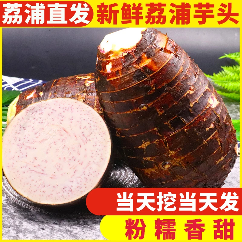 【坏果包赔】正宗新鲜荔浦芋头大香芋蔬菜当季现挖粉糯香甜3/5/9斤
