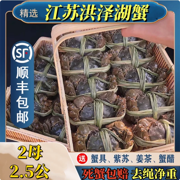 【活蟹现发】公2.5-2.2两母2.0-1.7两共8只装洪泽湖螃蟹顺丰包邮
