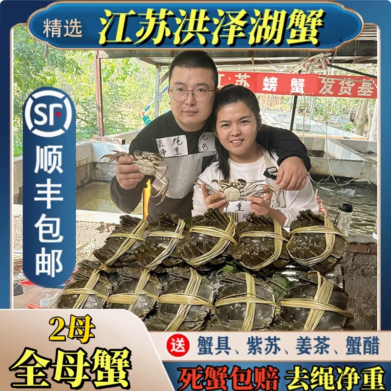 【活蟹现发】全母蟹10只装（㍚0-㍙7两）洪泽湖螃蟹礼盒顺丰包邮