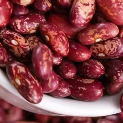 东北农家自种红饭豆