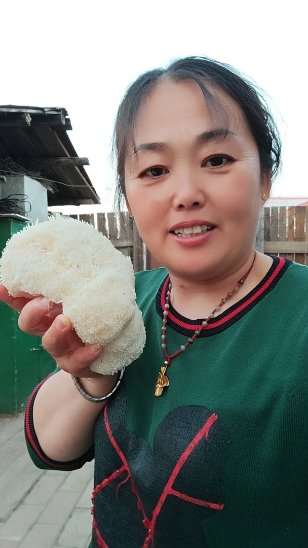 黑龙江大兴安岭野生猴头速冻发货散装称重