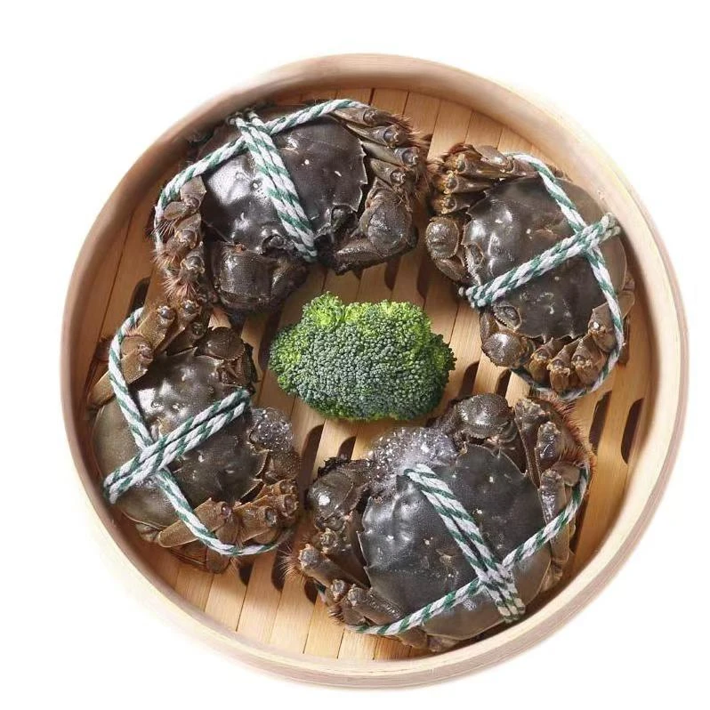 （4只装）鲜活2.5两大闸蟹 母蟹