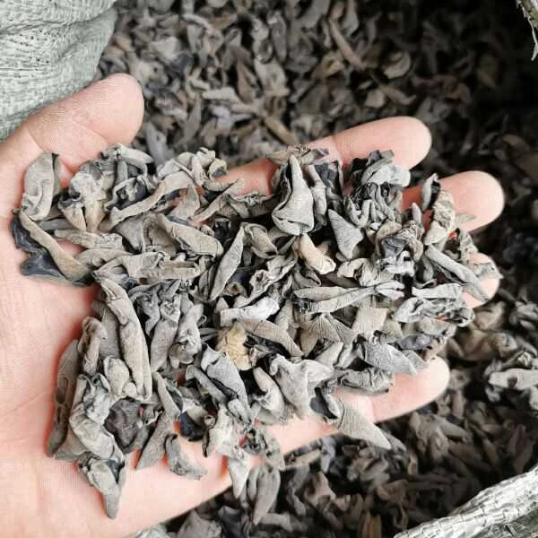 江西特产黑木耳 云耳1.2大小 黑山小耳