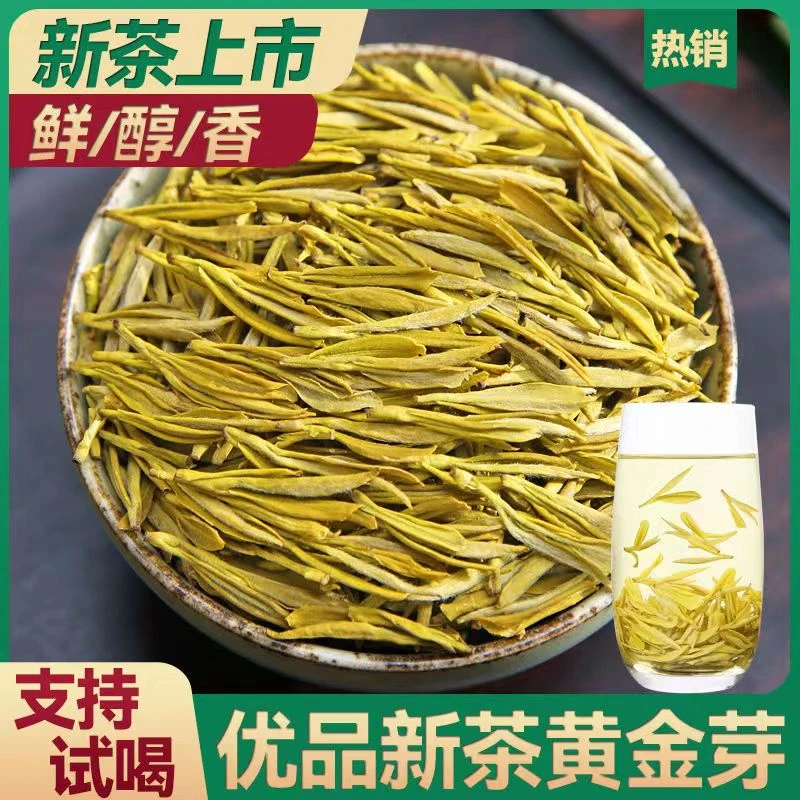 【2023黄金芽】珍惜雨前新茶浓香型高豆香味高山黄金芽口粮茶罐装