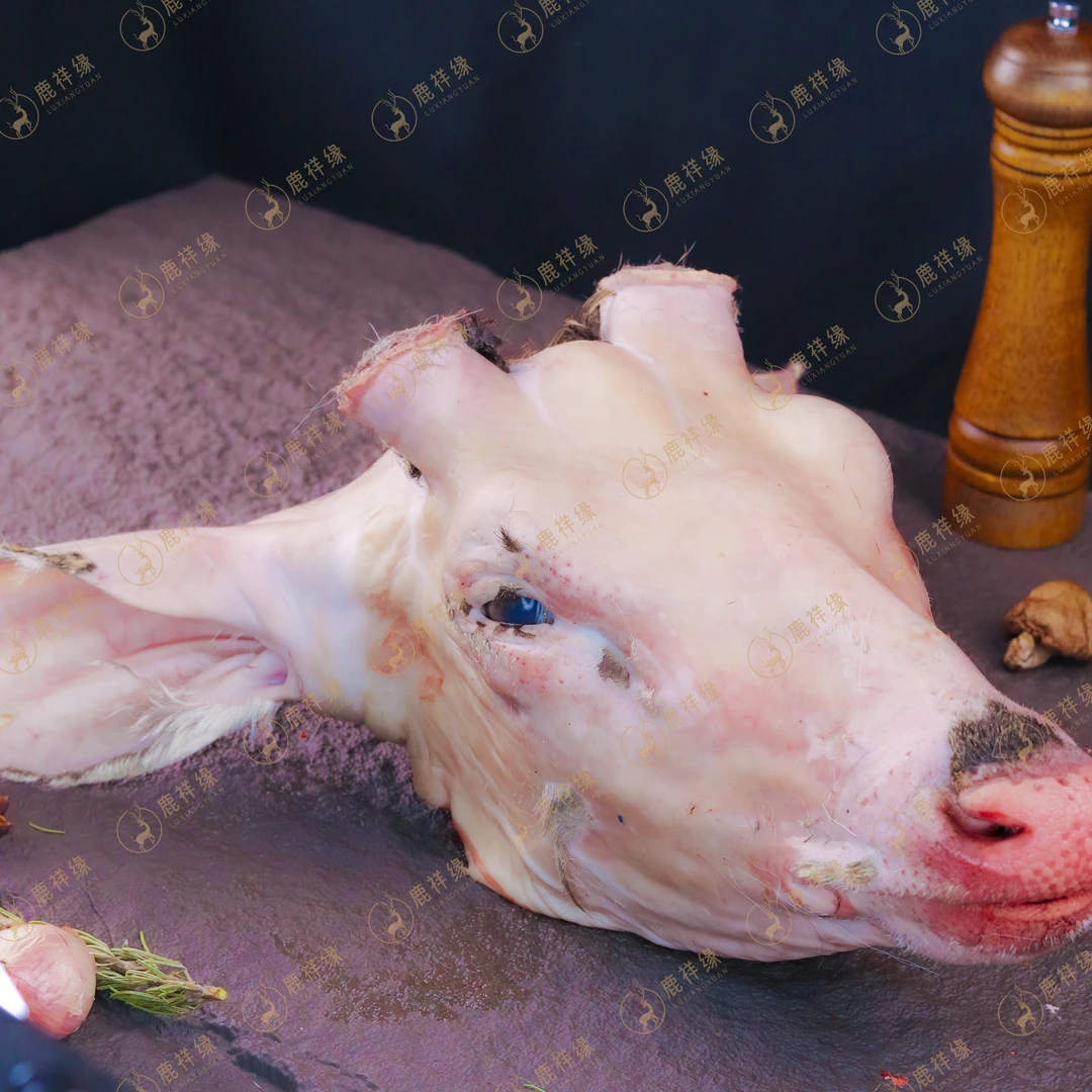 【鹿头现场称重】梅花鹿头 当日屠宰 现场分割 东北特产真空发货