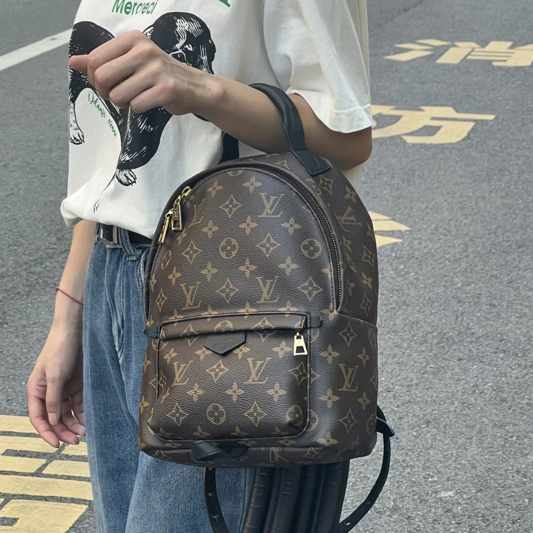 95新 LouisVuitton/路易威登 Lv 老花小号双肩包