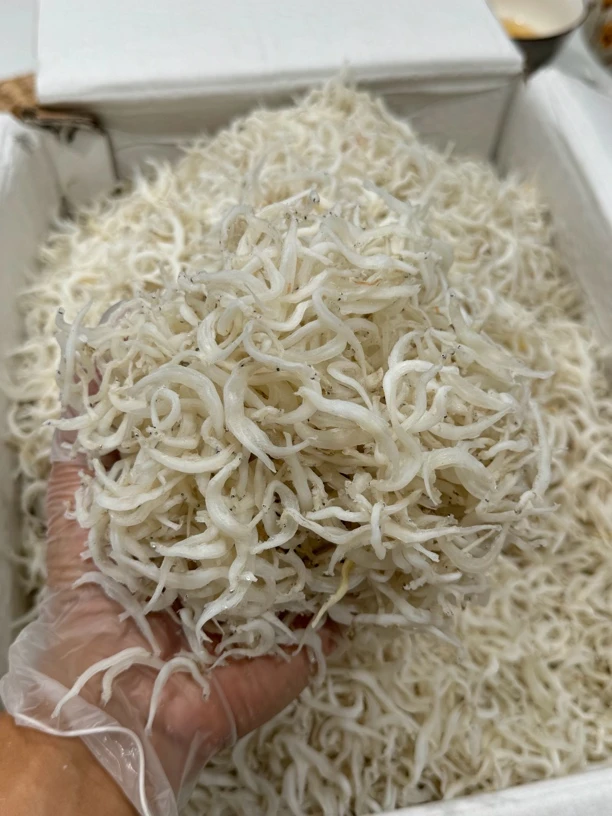 闽南特产新鲜银鱼干鲜甜美味开袋即食