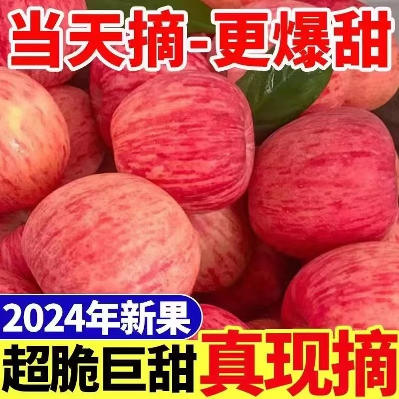 正宗山西红富士冰糖心红富士苹果买五送五水果红富士脆甜可口现采