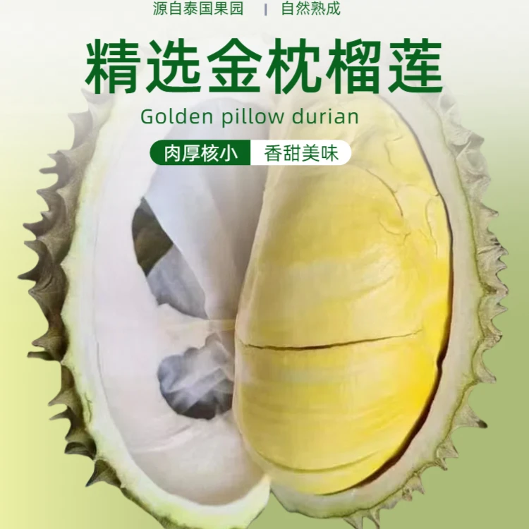 【福利放送】泰国金枕榴莲昨日果整果一个主播现开（不接受售后 不接受差评）