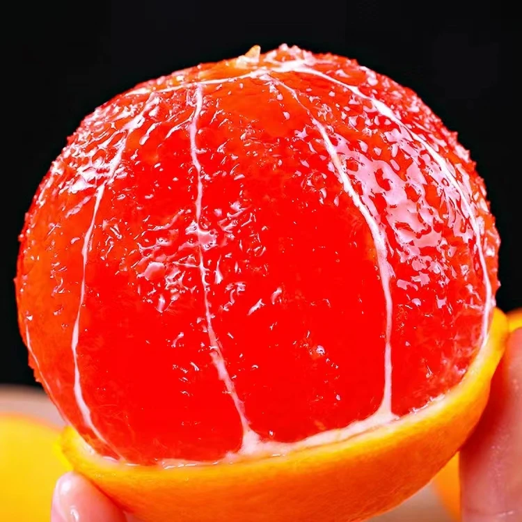 沃柑红美人盆栽盆景一物一拍