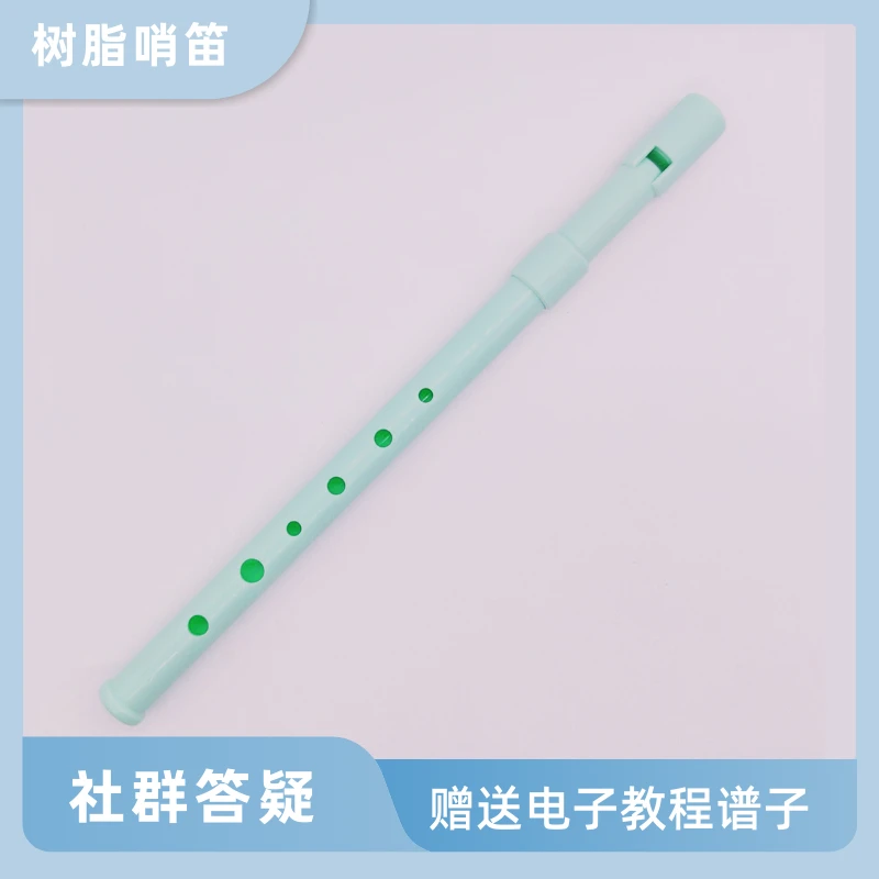 【vivi哨笛】初学者树脂爱尔兰哨笛成人学生入门薄荷绿（收纳盒+教程