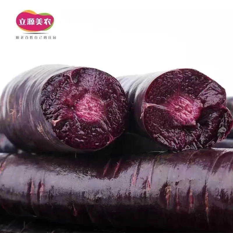 紫胡萝卜现挖新鲜紫色胡萝卜水果黑胡萝卜生吃紫黑色萝卜紫萝卜