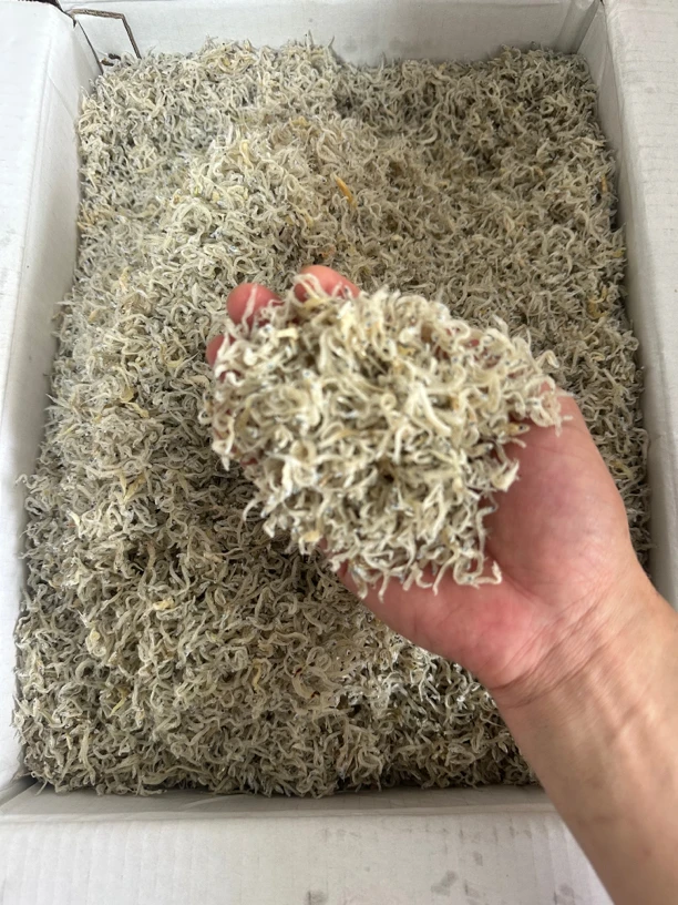 【雯姐专线】丁香鱼高蛋白低脂肪包邮