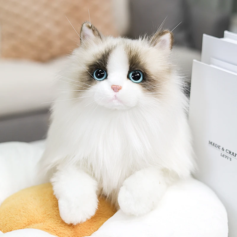 卡豆公仔布偶玩偶猫咪毛绒玩具女孩小可爱娃娃仿真毛绒玩具